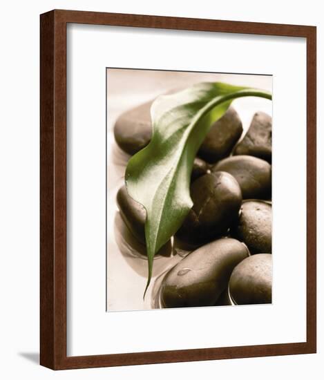 Spring Retreat II-Christine Elizabeth-Framed Art Print