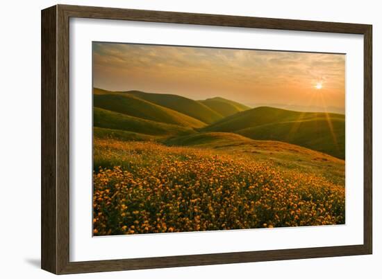 Spring Riot I-Mark Geistweite-Framed Photographic Print