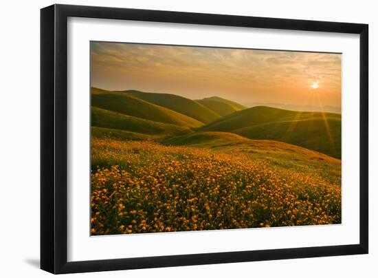 Spring Riot I-Mark Geistweite-Framed Photographic Print