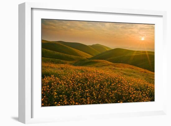 Spring Riot I-Mark Geistweite-Framed Photographic Print