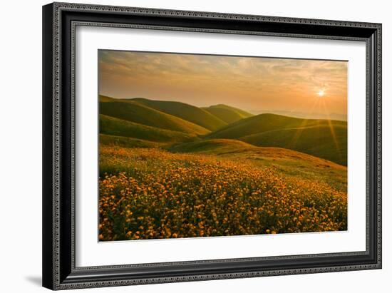 Spring Riot I-Mark Geistweite-Framed Photographic Print