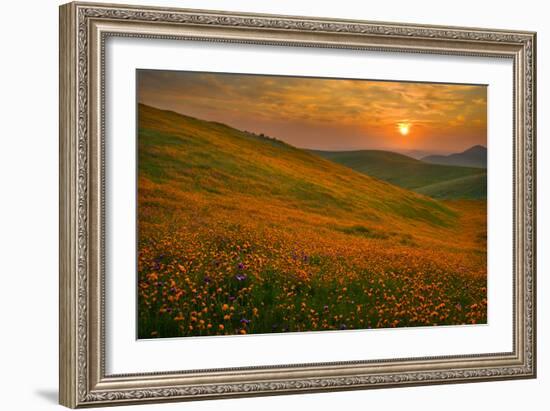 Spring Riot II-Mark Geistweite-Framed Photographic Print