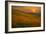 Spring Riot II-Mark Geistweite-Framed Photographic Print