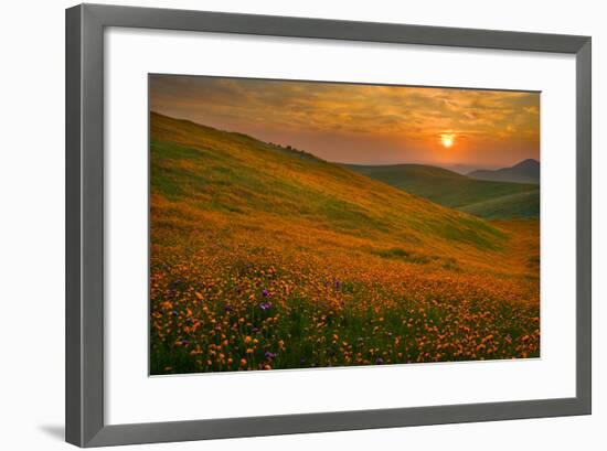 Spring Riot II-Mark Geistweite-Framed Photographic Print