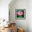 Spring Rose-Ursula Abresch-Framed Photographic Print displayed on a wall