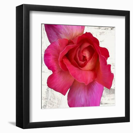 Spring Roses I-Jenny Thomlinson-Framed Art Print