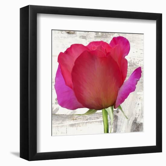 Spring Roses II-Jenny Thomlinson-Framed Art Print