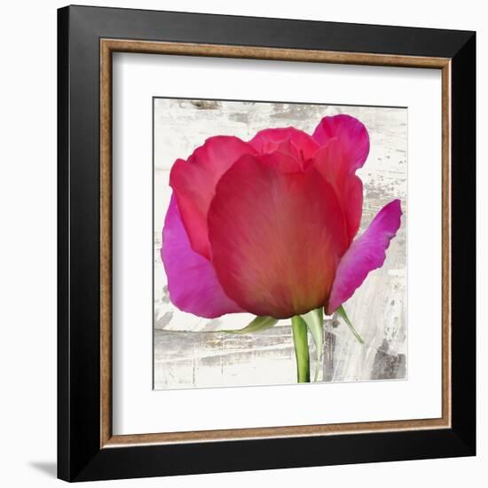 Spring Roses II-Jenny Thomlinson-Framed Art Print