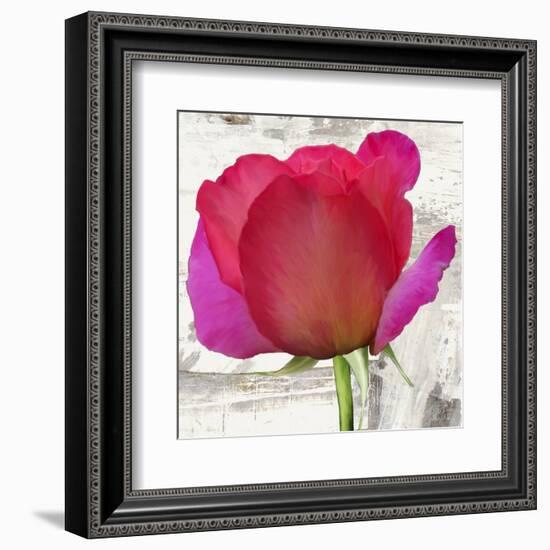 Spring Roses II-Jenny Thomlinson-Framed Art Print