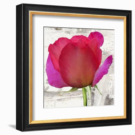 Spring Roses II-Jenny Thomlinson-Framed Art Print