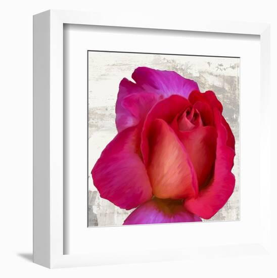 Spring Roses III-Jenny Thomlinson-Framed Art Print