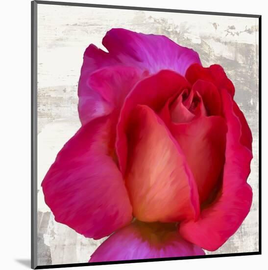 Spring Roses III-Jenny Thomlinson-Mounted Art Print