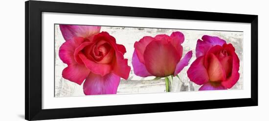 Spring Roses-Jenny Thomlinson-Framed Art Print