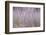 Spring Rustle-Jacob Berghoef-Framed Photographic Print