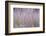 Spring Rustle-Jacob Berghoef-Framed Photographic Print