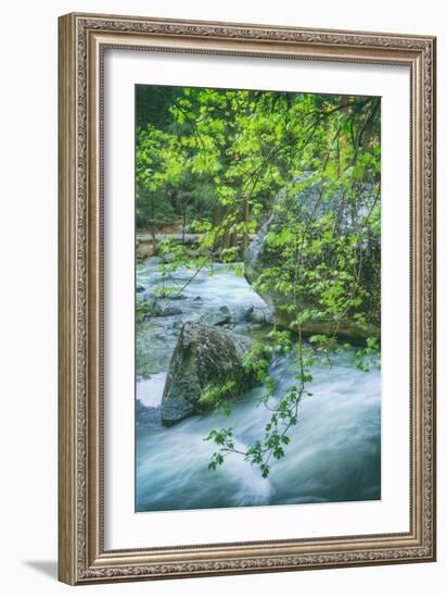 Spring Scene on the Trail to Mirror Lake, Yosemite Valley-Vincent James-Framed Photographic Print