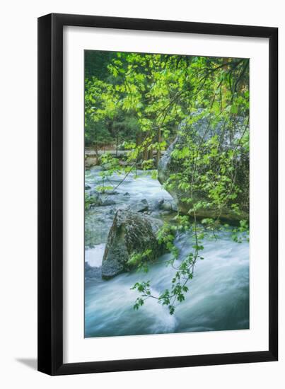 Spring Scene on the Trail to Mirror Lake, Yosemite Valley-Vincent James-Framed Photographic Print