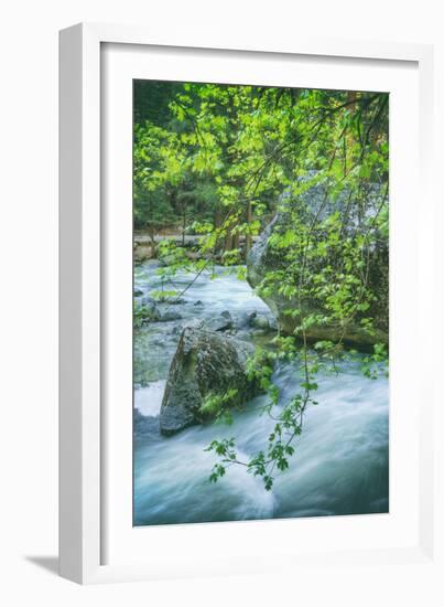 Spring Scene on the Trail to Mirror Lake, Yosemite Valley-Vincent James-Framed Photographic Print