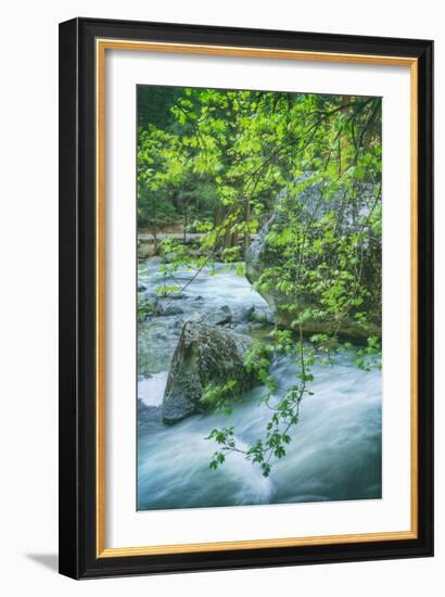 Spring Scene on the Trail to Mirror Lake, Yosemite Valley-Vincent James-Framed Photographic Print