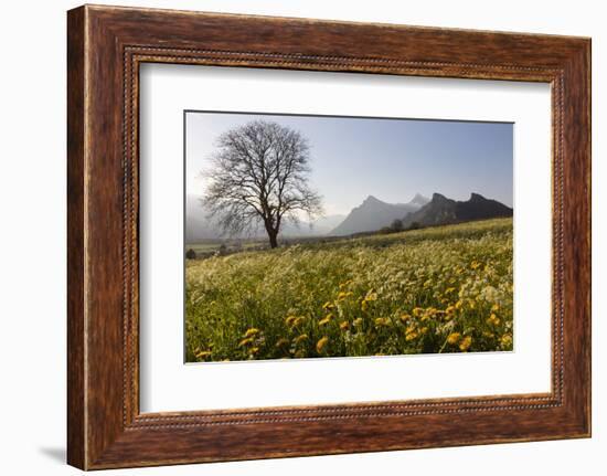 Spring Scenery in the Grisons Reign-Armin Mathis-Framed Photographic Print