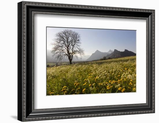 Spring Scenery in the Grisons Reign-Armin Mathis-Framed Photographic Print