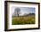 Spring Scenery in the Grisons Reign-Armin Mathis-Framed Photographic Print