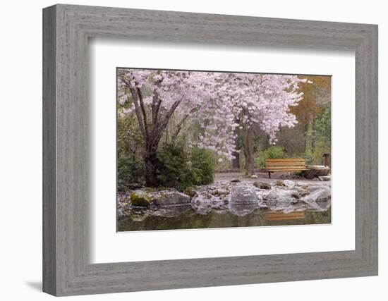 Spring Scenic in Lithia Park, Ashland, Oregon, USA-Jaynes Gallery-Framed Photographic Print