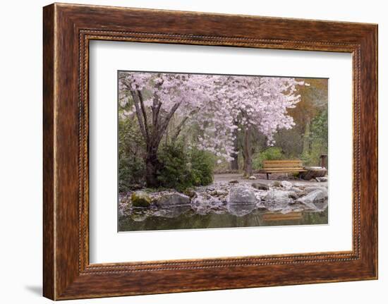 Spring Scenic in Lithia Park, Ashland, Oregon, USA-Jaynes Gallery-Framed Photographic Print