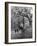 Spring Scouts-null-Framed Photographic Print