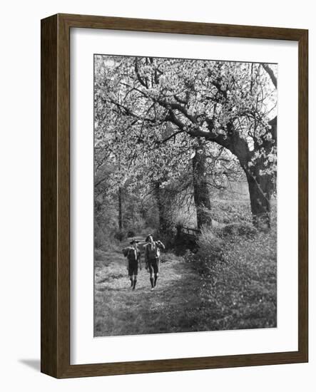 Spring Scouts-null-Framed Photographic Print