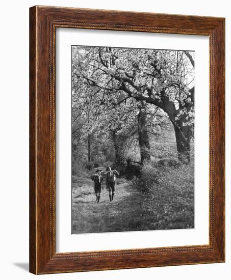 Spring Scouts-null-Framed Photographic Print