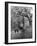 Spring Scouts-null-Framed Photographic Print