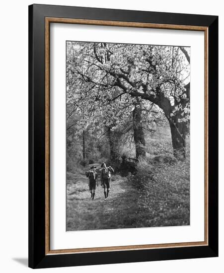 Spring Scouts-null-Framed Photographic Print