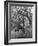 Spring Scouts-null-Framed Photographic Print