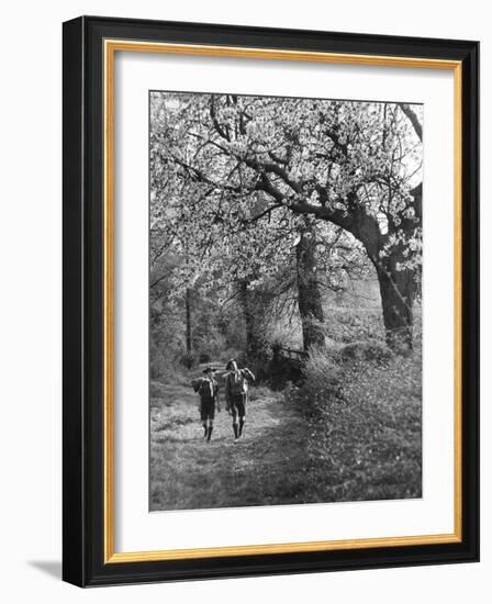 Spring Scouts-null-Framed Photographic Print