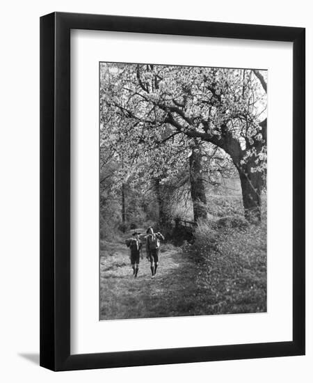 Photographic Print, , large