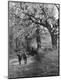 Premium Photographic Print