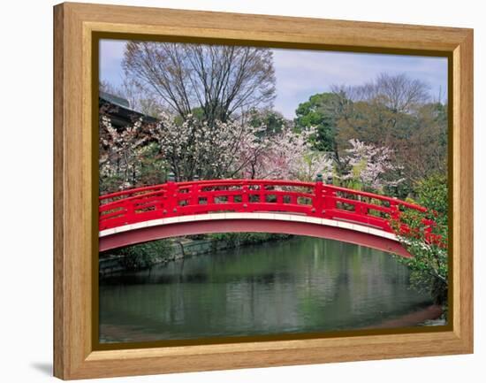 Spring Season, Kyoto, Japan-Shin Terada-Framed Premier Image Canvas