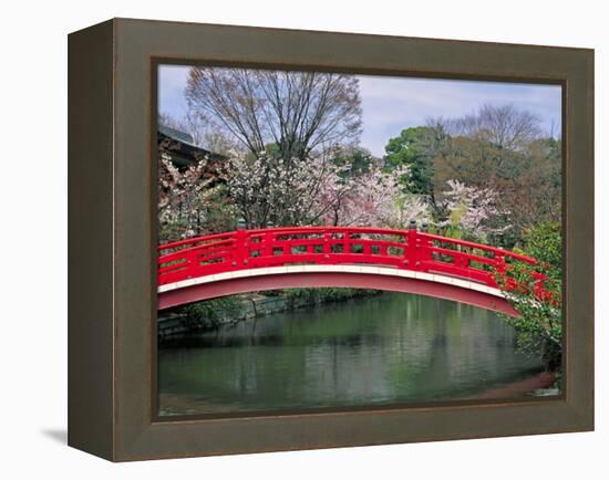 Spring Season, Kyoto, Japan-Shin Terada-Framed Premier Image Canvas