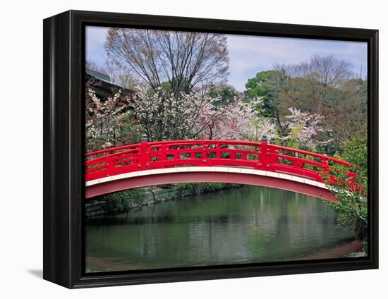 Spring Season, Kyoto, Japan-Shin Terada-Framed Premier Image Canvas