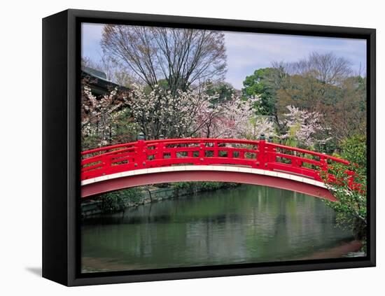 Spring Season, Kyoto, Japan-Shin Terada-Framed Premier Image Canvas