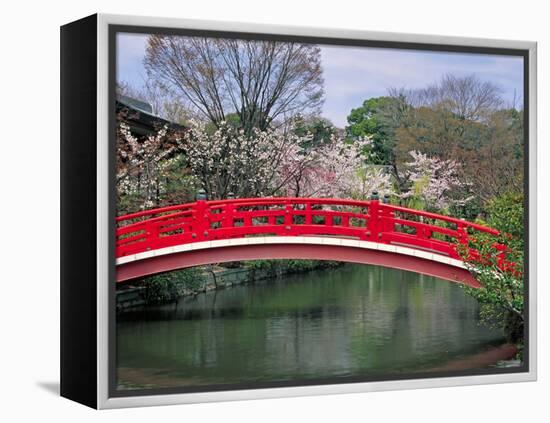 Spring Season, Kyoto, Japan-Shin Terada-Framed Premier Image Canvas