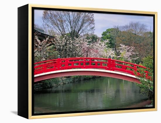 Spring Season, Kyoto, Japan-Shin Terada-Framed Premier Image Canvas