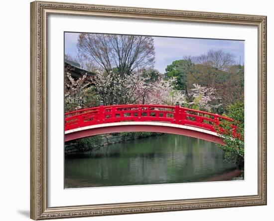 Spring Season, Kyoto, Japan-Shin Terada-Framed Photographic Print