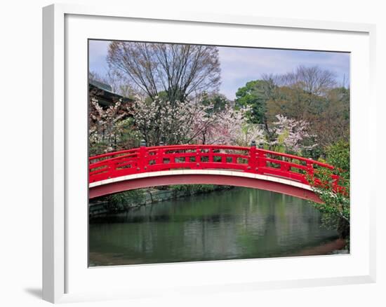 Spring Season, Kyoto, Japan-Shin Terada-Framed Photographic Print