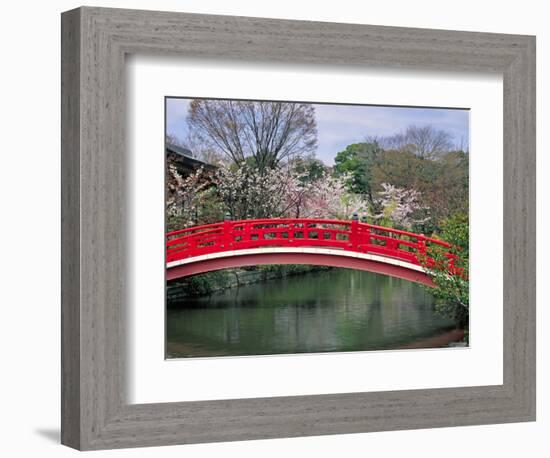 Spring Season, Kyoto, Japan-Shin Terada-Framed Photographic Print