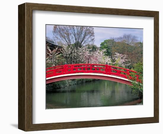 Spring Season, Kyoto, Japan-Shin Terada-Framed Photographic Print