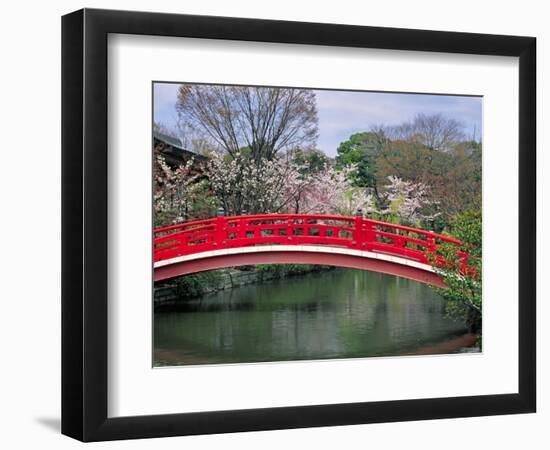 Spring Season, Kyoto, Japan-Shin Terada-Framed Photographic Print