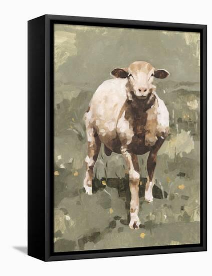 Spring Sheep II-Emma Caroline-Framed Stretched Canvas