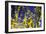 Spring Show III-Alan Hausenflock-Framed Photographic Print